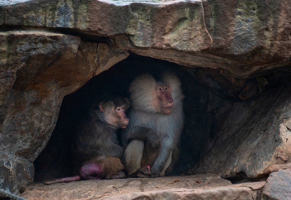 Photograph by Юлия Борт