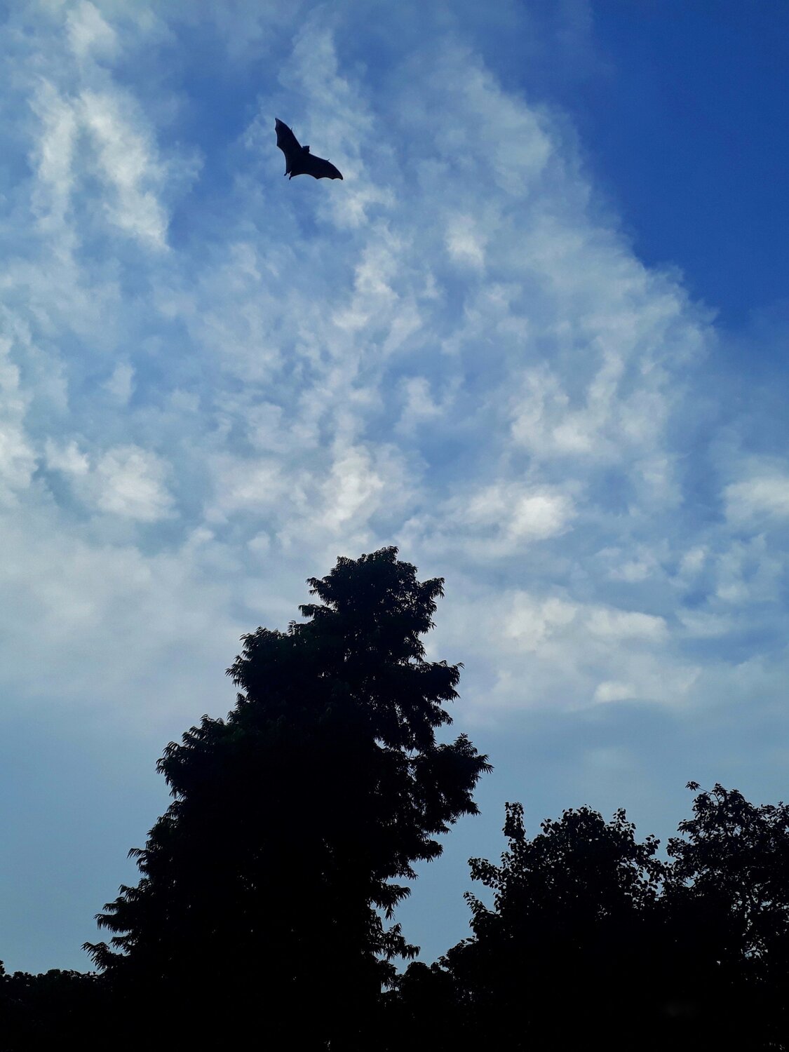 Bat -man returns
