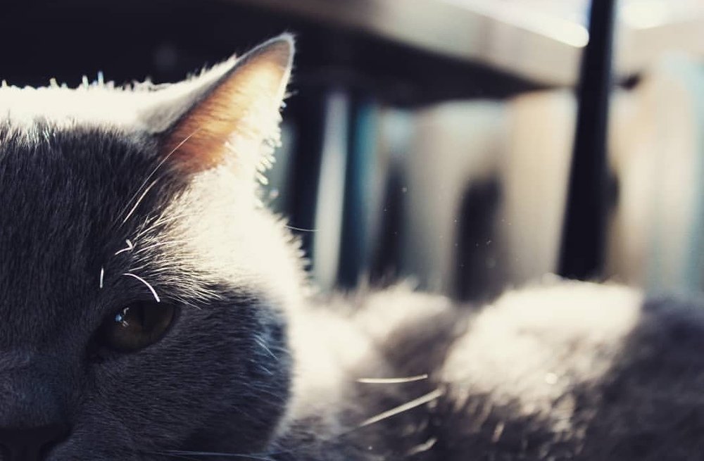 Photograph by Татьяна Решетова