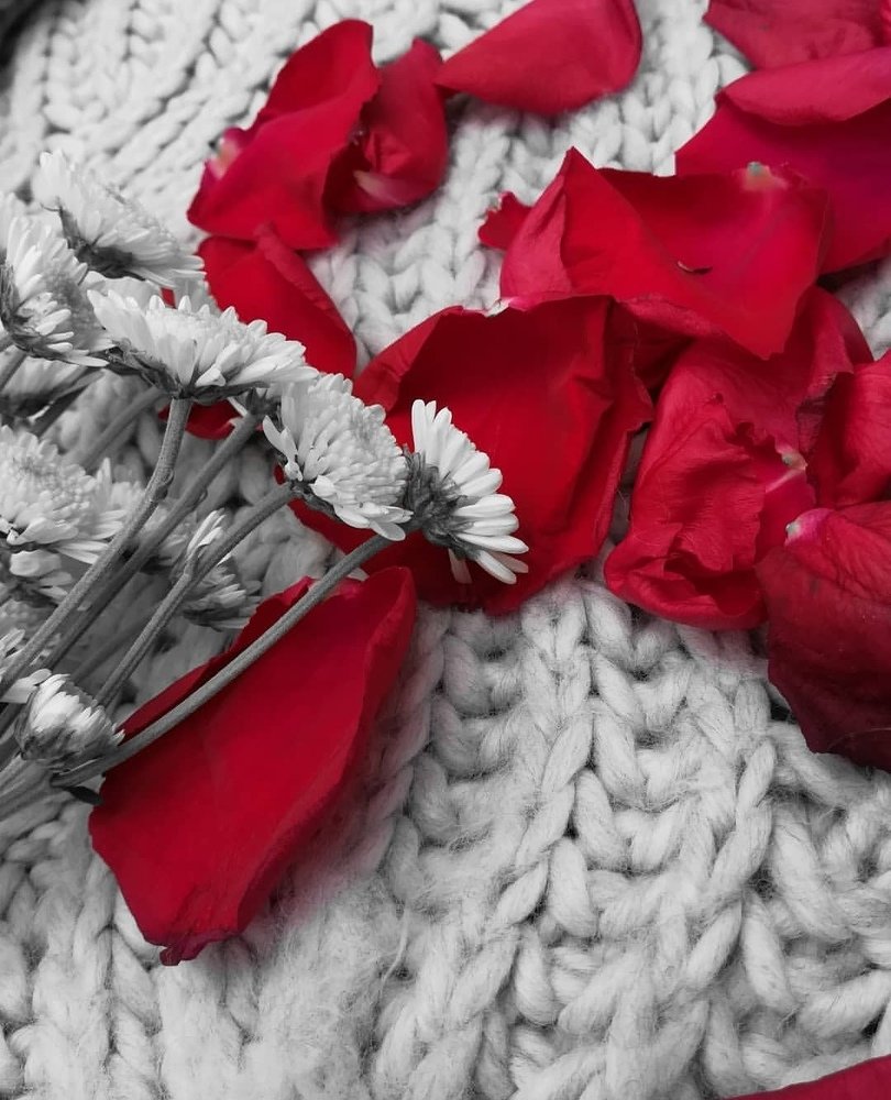 Photograph by Татьяна Решетова