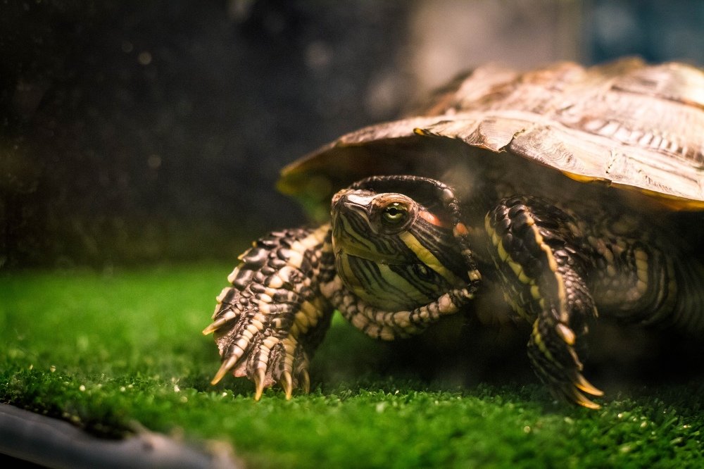 Photograph by Шаромов Иван