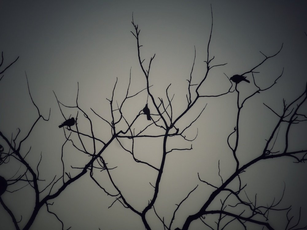 Photograph by Sayali Dani