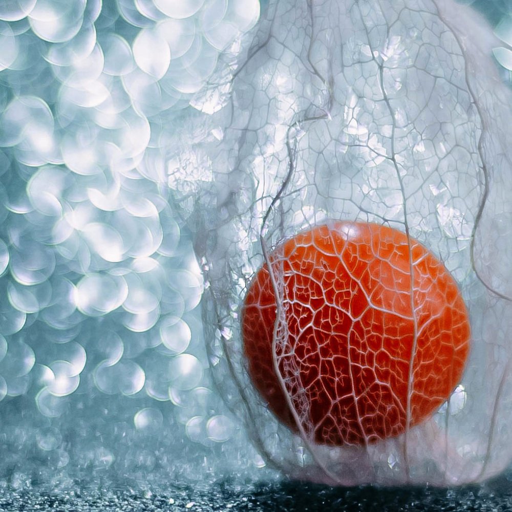 Photograph by Елена Мирзоева