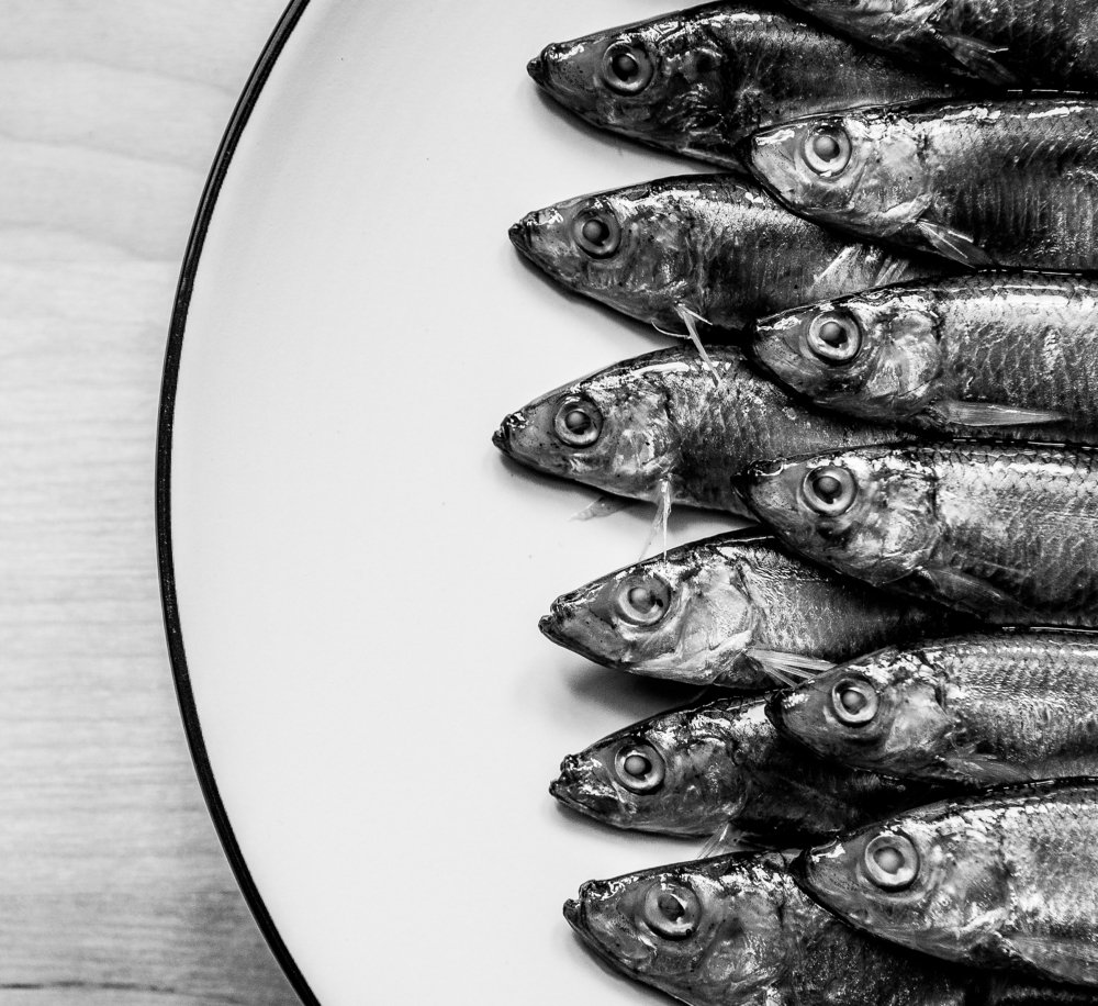 Photograph by Андрей Животов