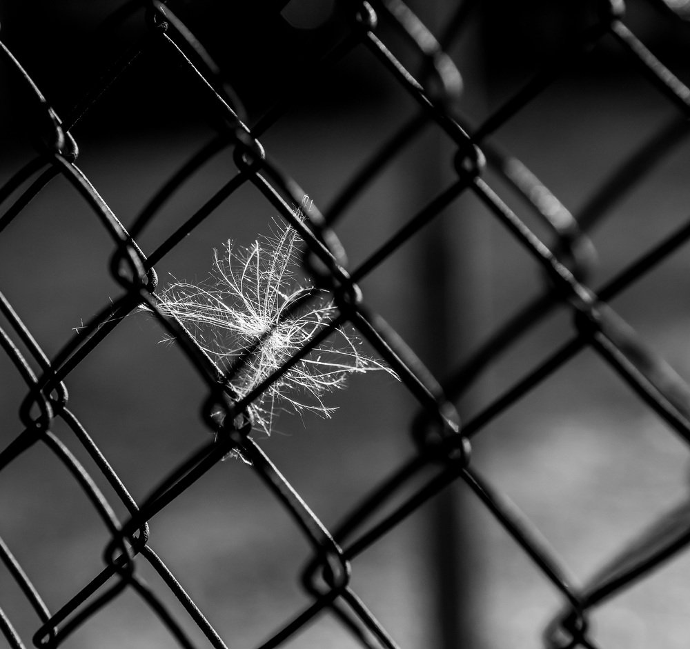 Photograph by Андрей Животов