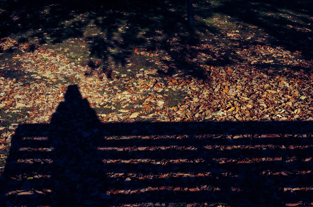 Photograph by Евгения Жданова