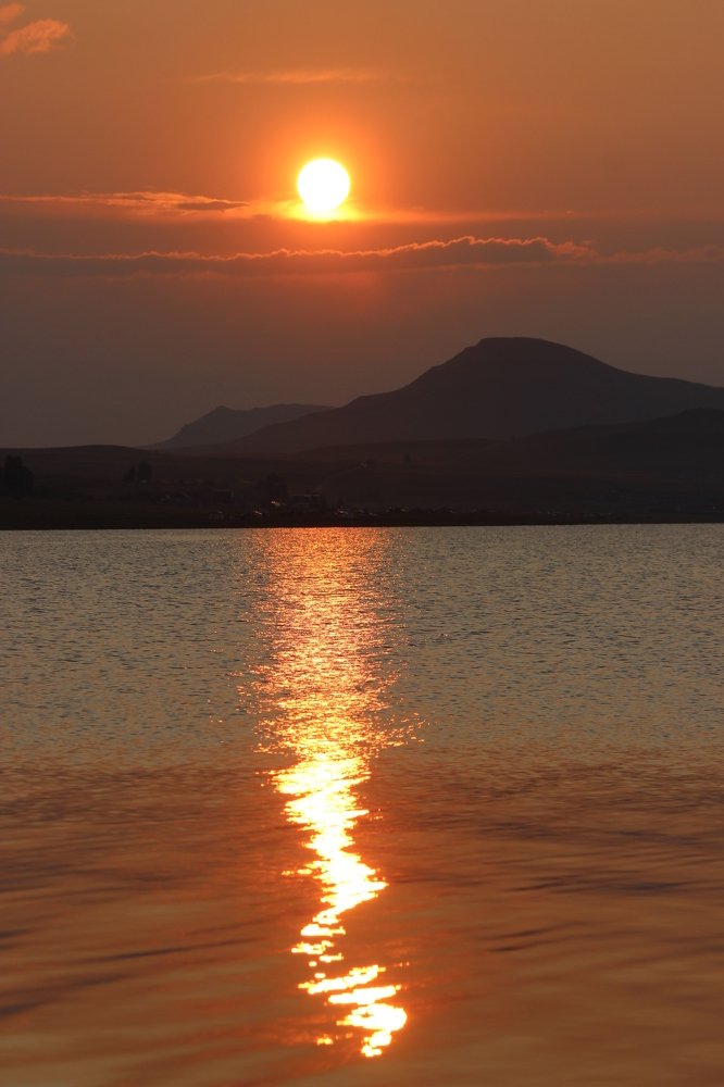 Золочёная дорожка.