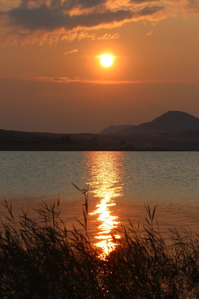 Photograph by Наталья Юрова