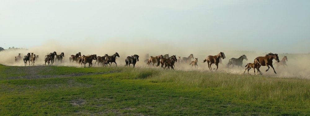 Путь домой.