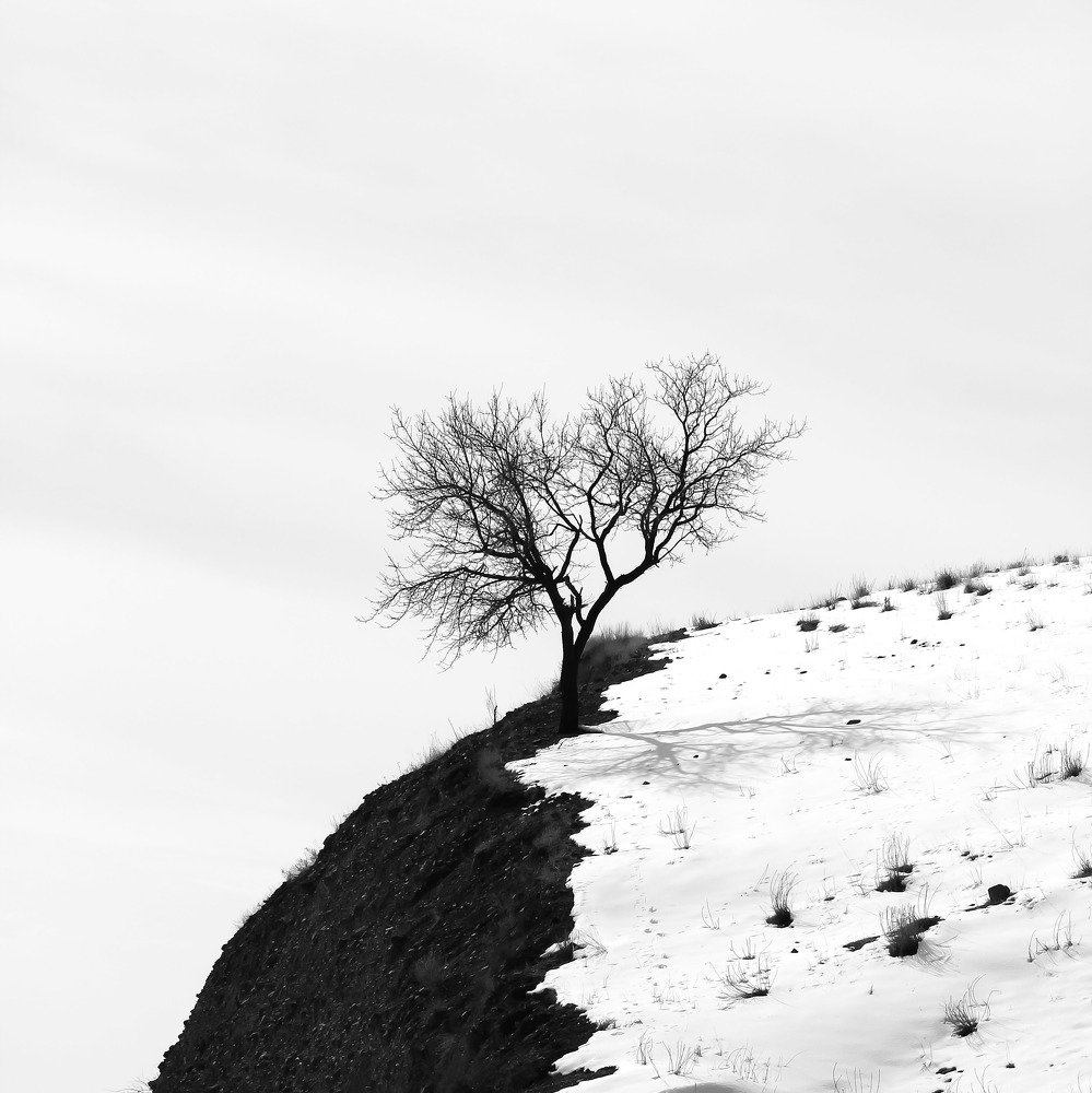 Фотография автора payman Mollaie