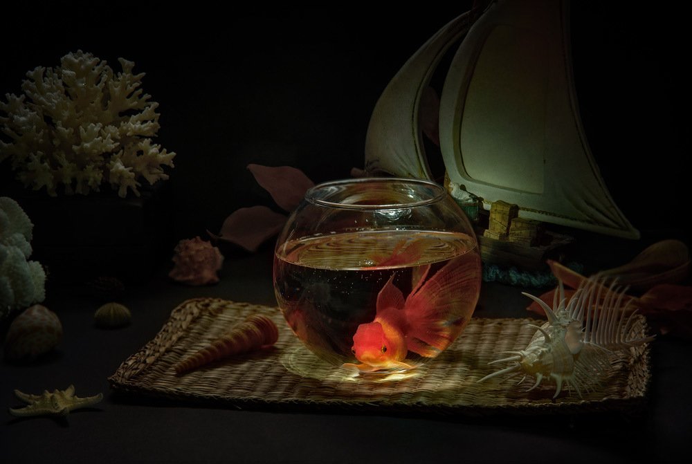 Мечты о дальных странах