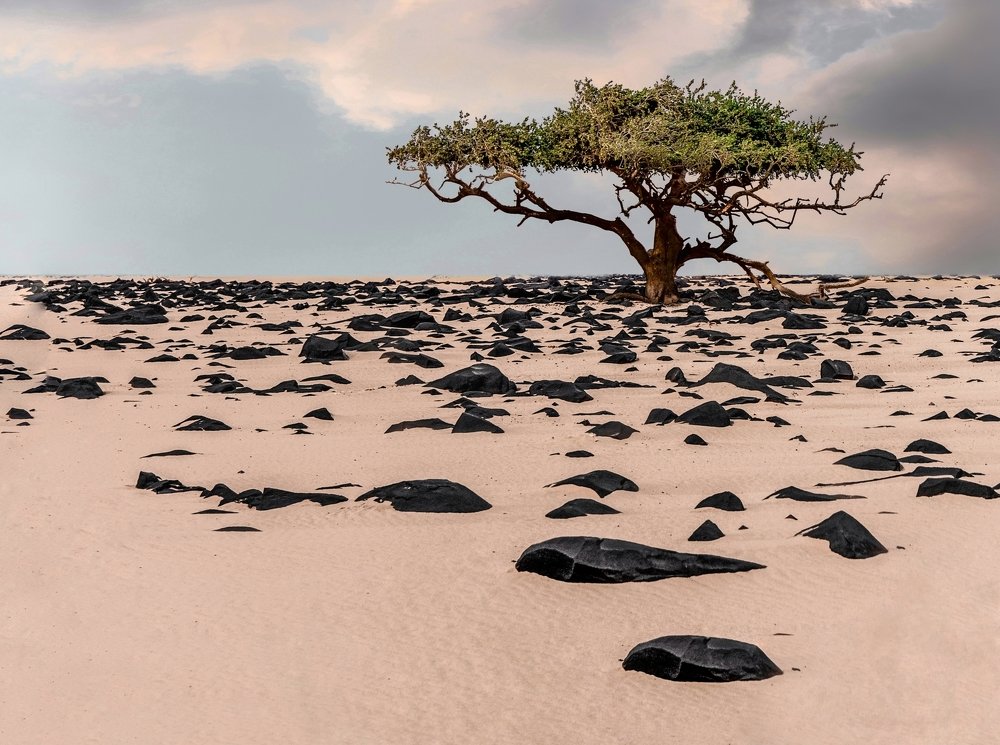 Photograph by Rana Khan