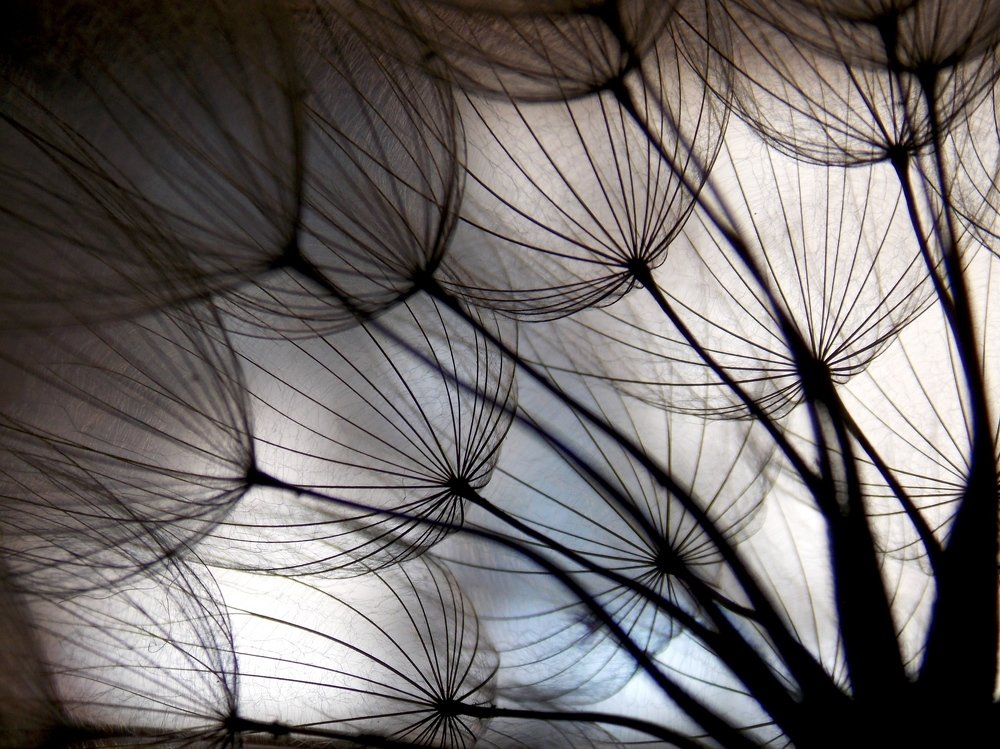 Photograph by Olja Simović