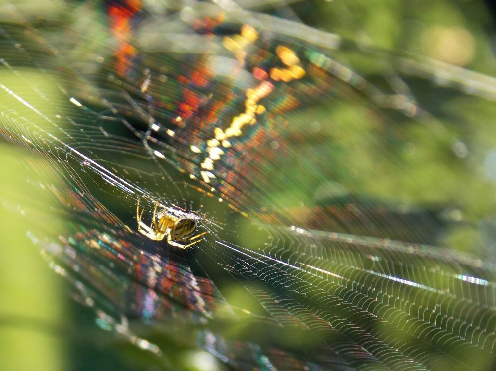 Photograph by Olja Simović