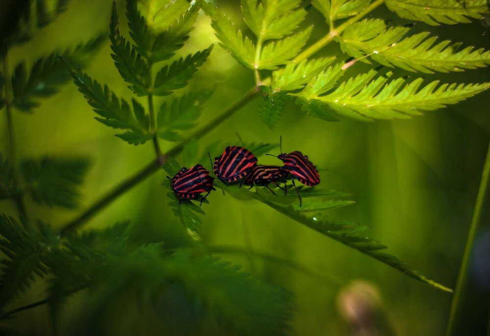 Photograph by Алиса Грюнвальд