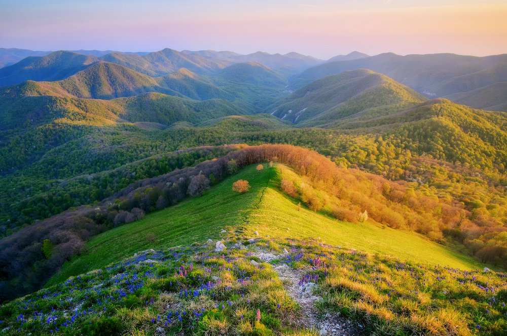 Весенний ковер в предгорьях