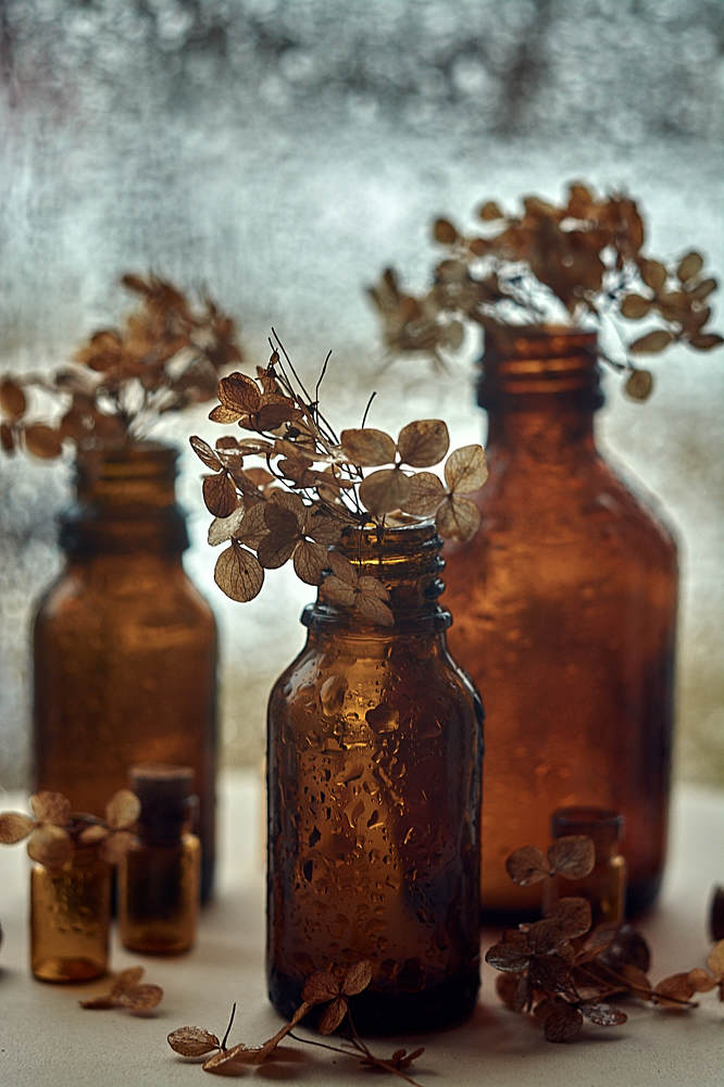 Photograph by Екатерина Бокова