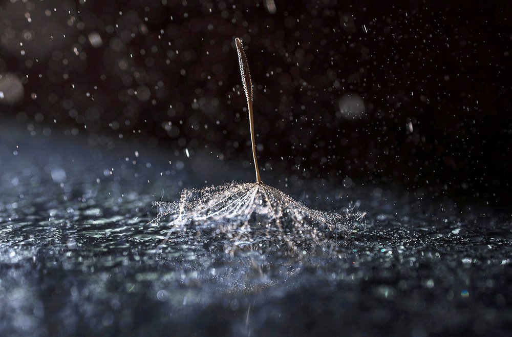 Photograph by Елена Осколкова