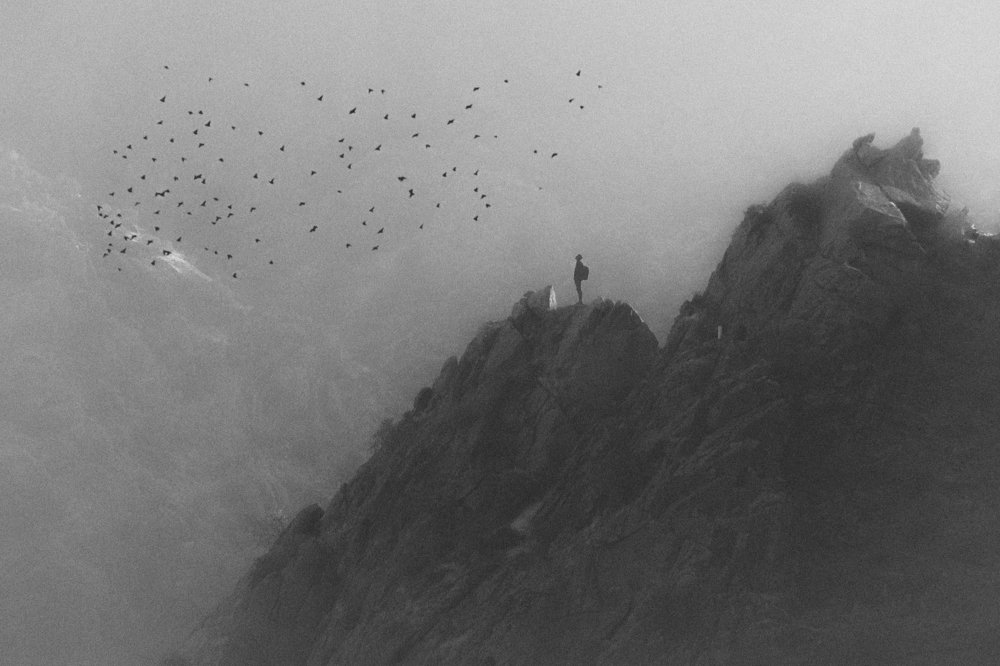 seeking for brightness