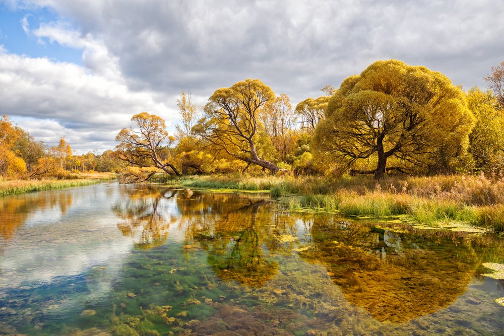 Photograph by Бабкина Юлия