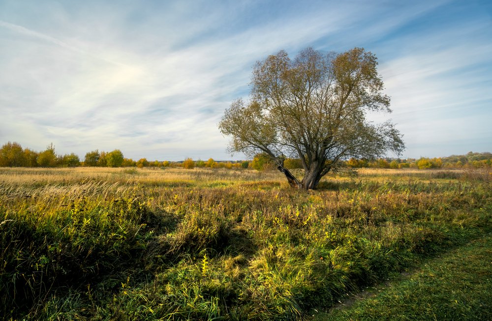 Photograph by Nikita Silyavin