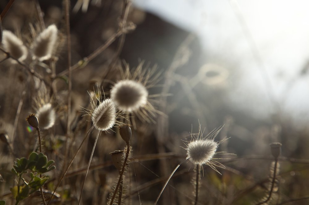 Photograph by Яна Сергеевна Зимина