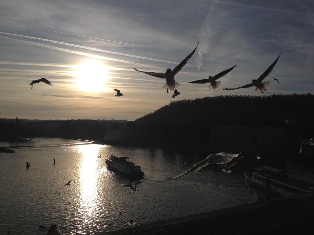 Полный вперед