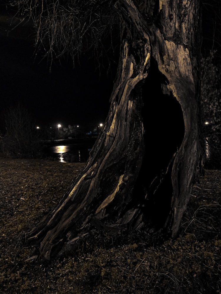 Фотография автора Наталья Алексеева