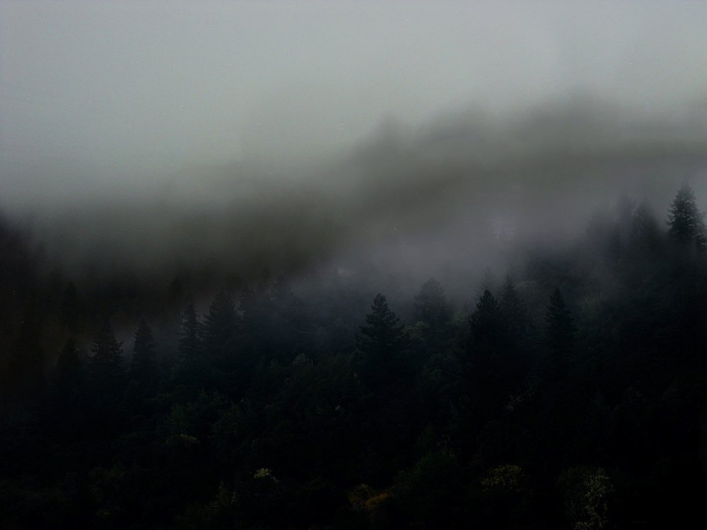 Photograph by Илья Юхнов