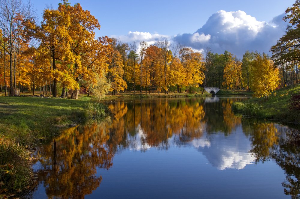 Alexander Park Pushkin