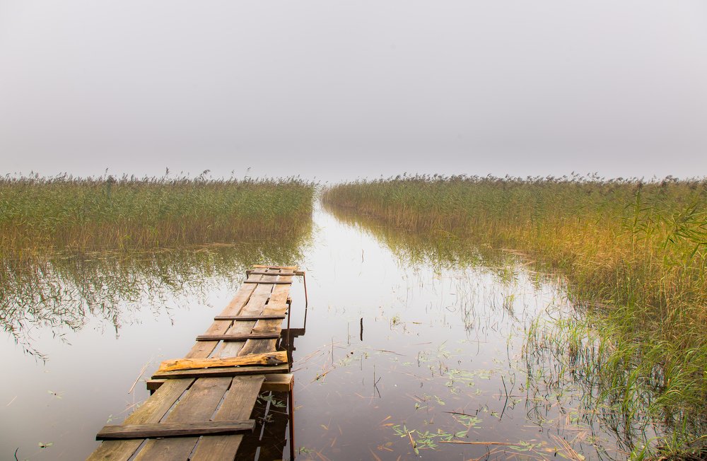 Photograph by Сергей Самойлов