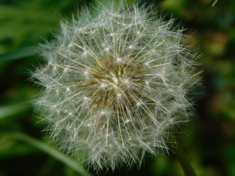 Photograph by Анастасия Рысь