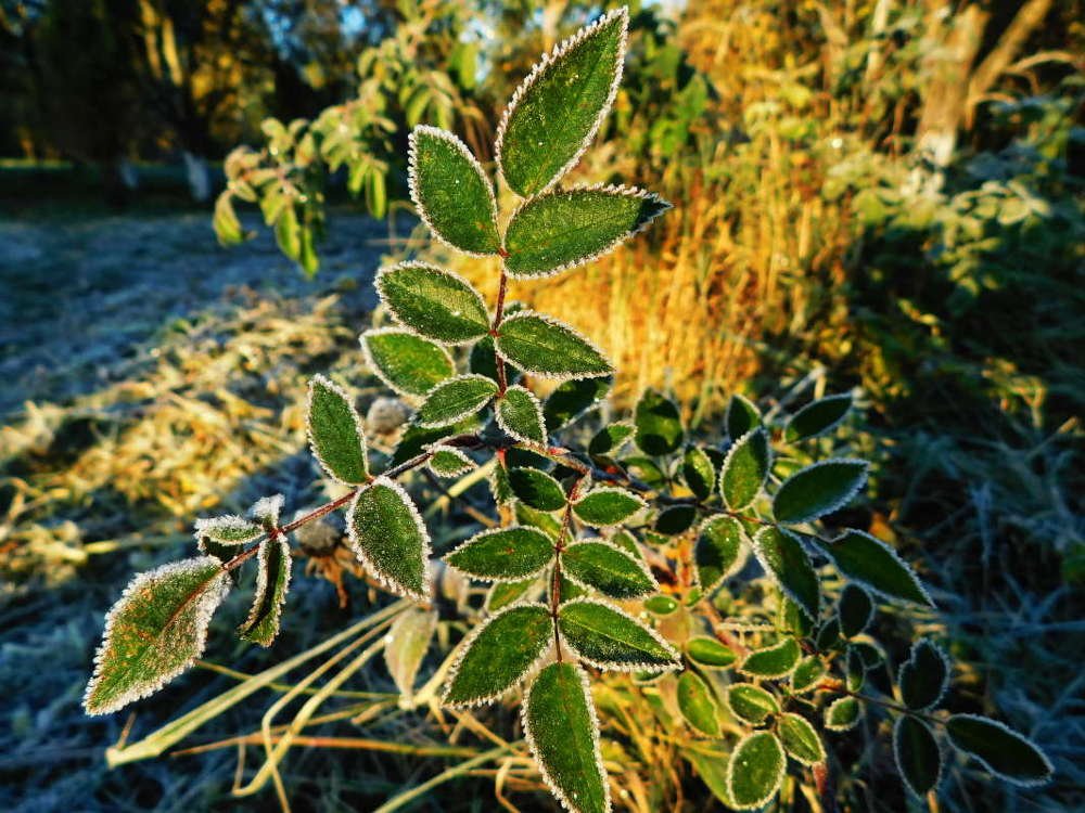 Photograph by Анастасия Рысь