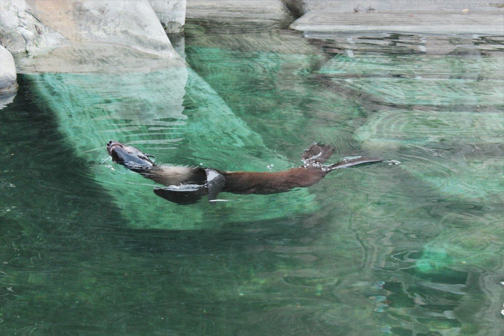 Photograph by Анастасия Рысь