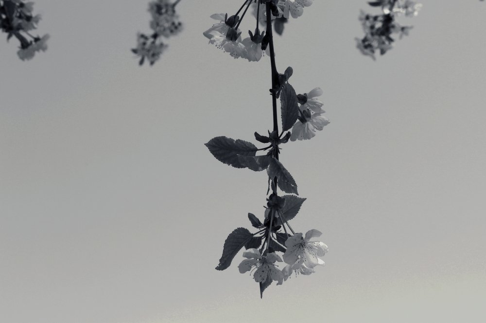 Photograph by Ivana Orlić