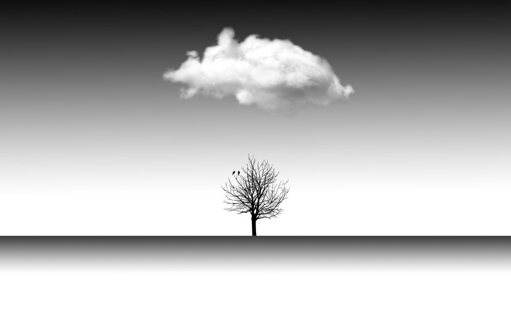 Photograph by alireza yazdani