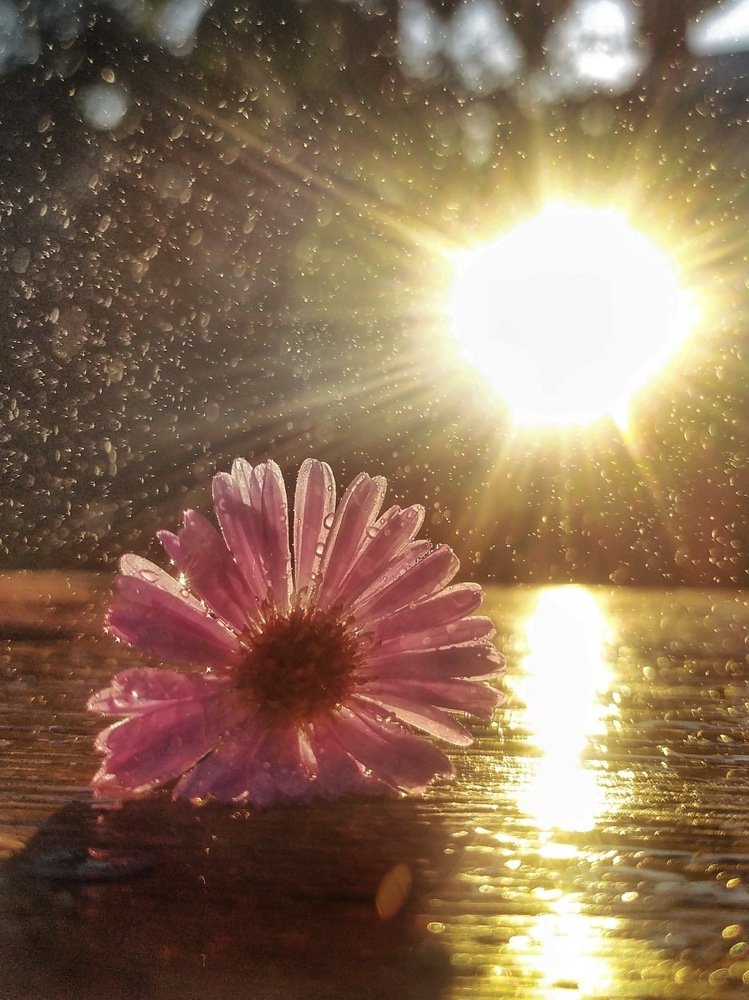 После дождя