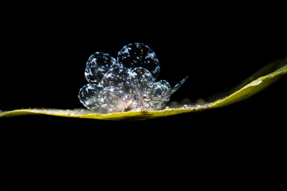 Photograph by Дериглазова Марина Владимировна