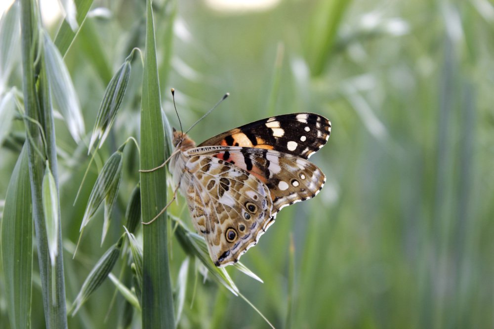 Photograph by Татьяна