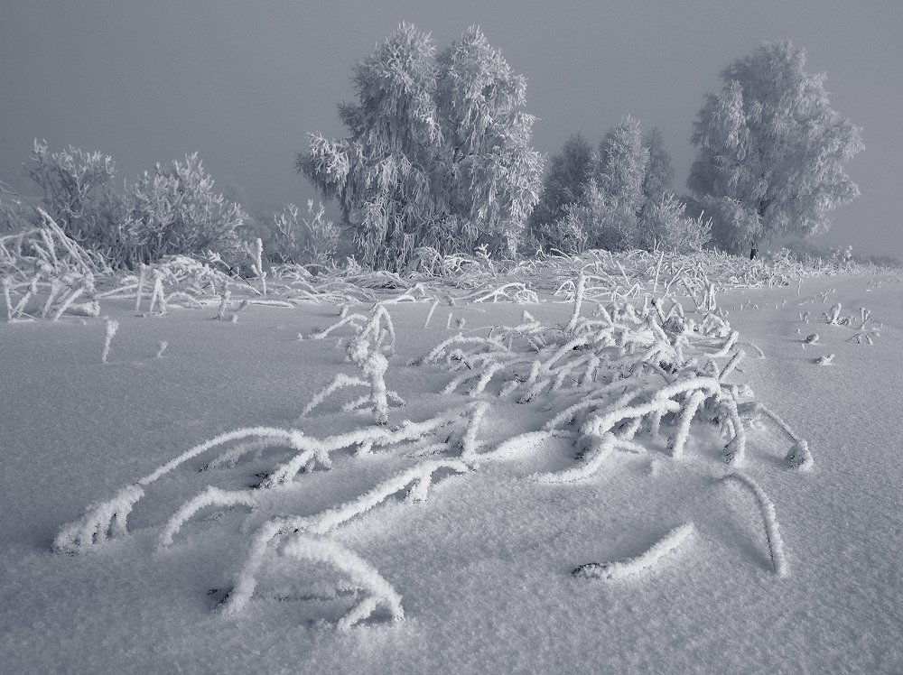 Photograph by Олег Тетерин