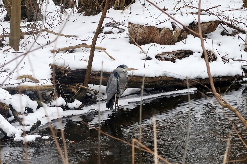 Photograph by Любовь