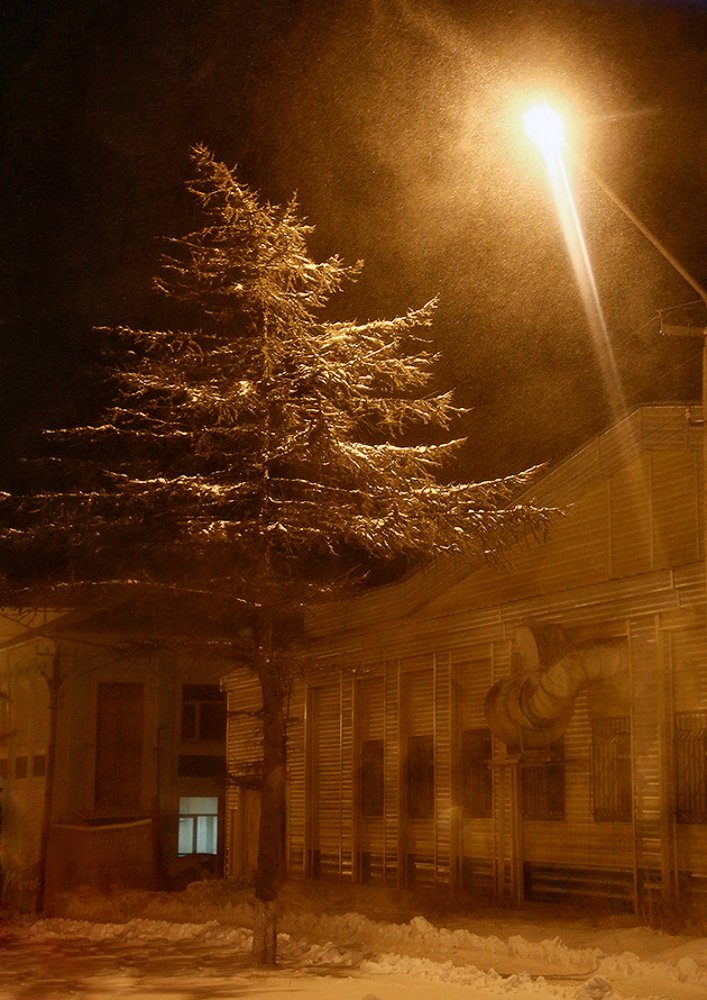 Photograph by Сергей Балабан