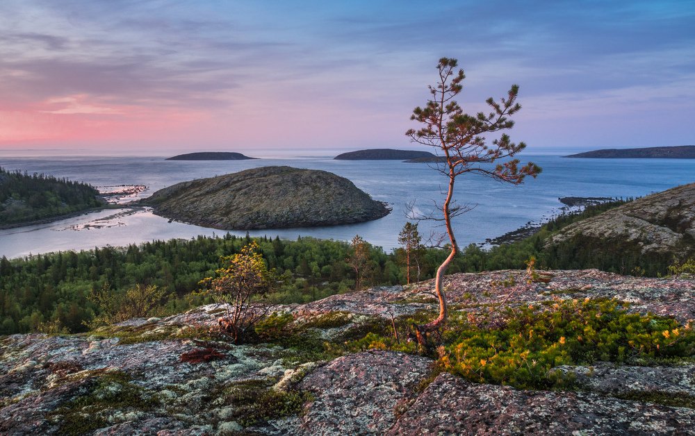 Photograph by Александр Авдушев