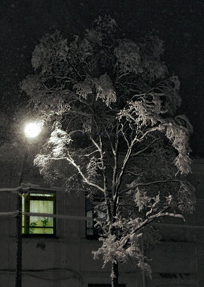 Photograph by Сергей Балабан