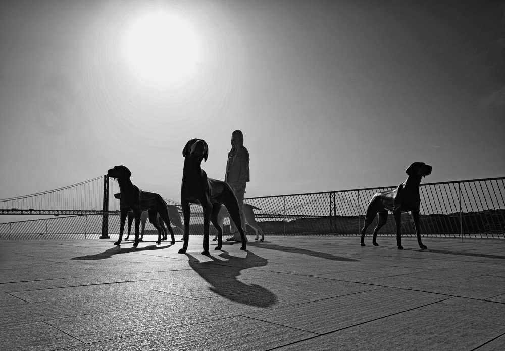 Photograph by Mário C.