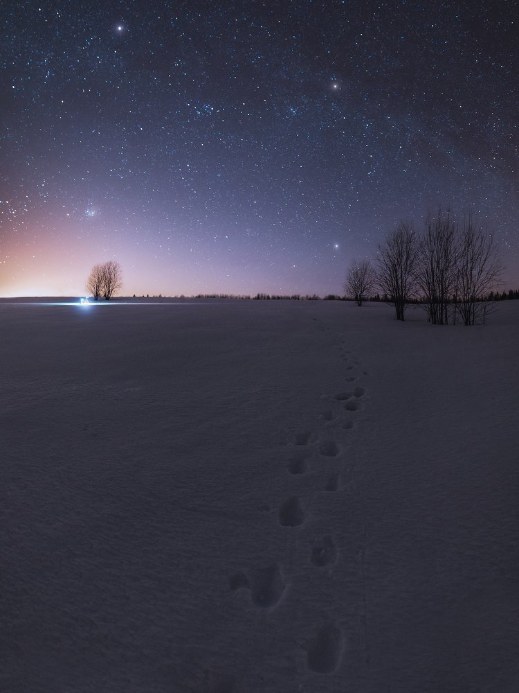 Photograph by Даниил Мелехов