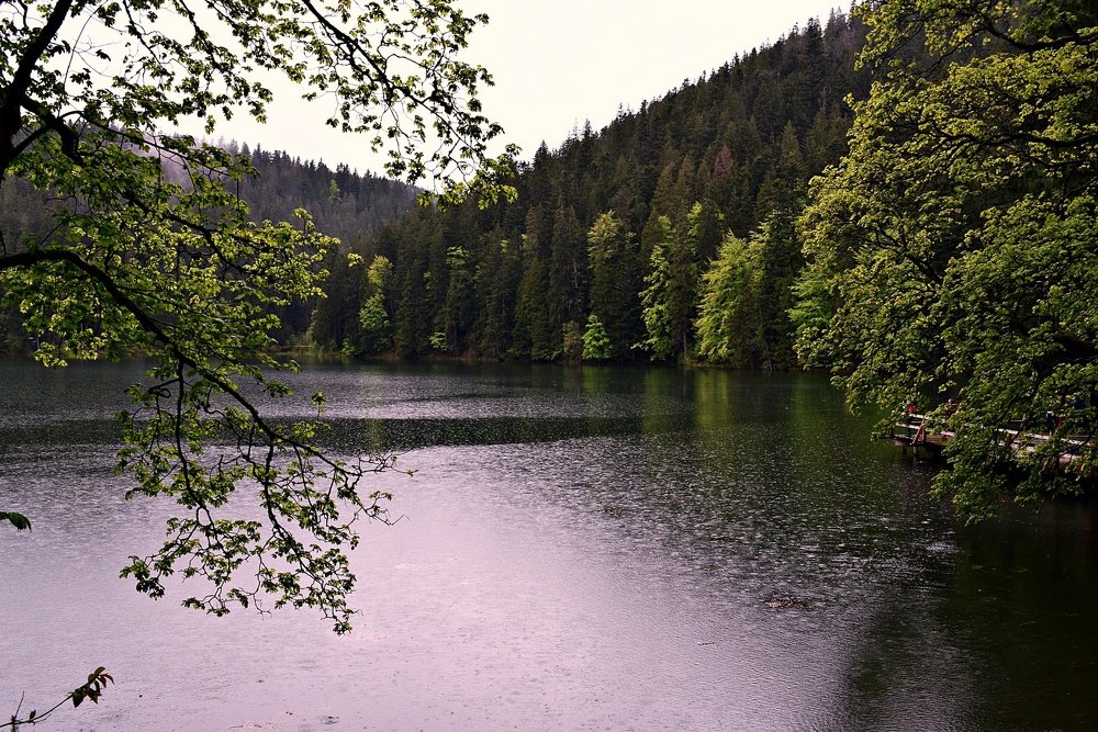 Photograph by Ларионова Татьяна