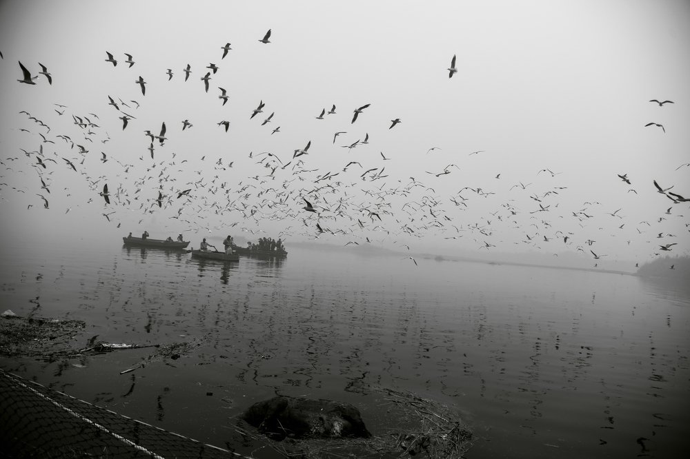 Photograph by Sachin Patel