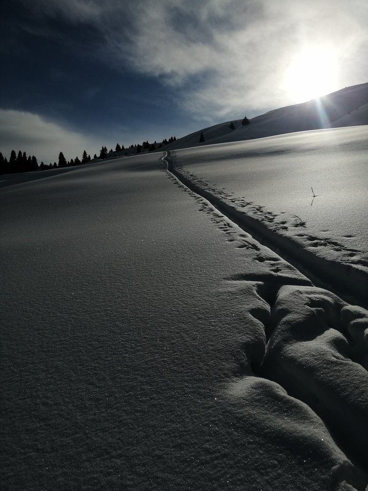Photo #4211279