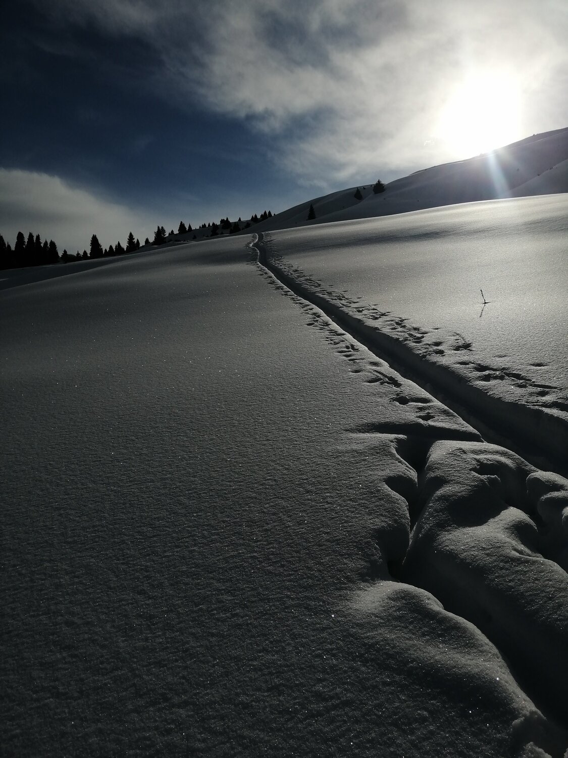 Photo #4211279